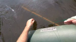 Рыбалка на экраны. Щука на кружок.