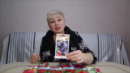 Красивый томат Лазурный гигант! Где нашла  семена Арбуза Дайтона.  Загадка от Сибирского сада!