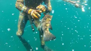 UKRAINIAN SPEARFISHING TEAM VIGO 2012 Галактионов Рябчик