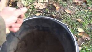 Озимый чеснок. Как сажать чеснок осенью.