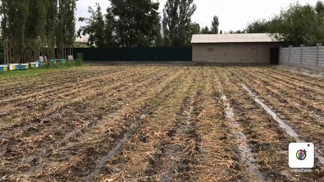 Molxona ? va Qoyxona? SOLMOQCHIMISIZ? Unda tez KORING siz UCHUN juda FOYDALI.? смотреть онлайн