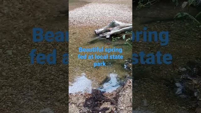 creek at local state park ,st Louis mo Missouri parks# creek#