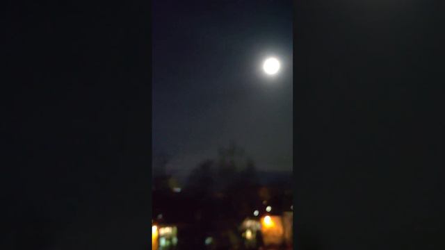 28 декабря 2023 г. смотреть онлайн