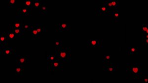 Сердца сердечки день валентина/ футаж / footage / Черный фон / любовь / chromakey / хромакей hearts