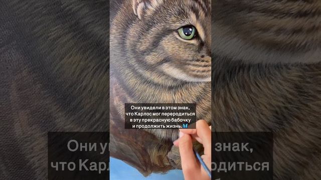 Портрет кота Карлоса и бабочки ?? #котики #рисование #акрил #урокирисования #рисуемакрилом смотреть онлайн