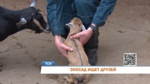 Жители Перми вновь смогут взять под опеку животных Пермского зоопарка
