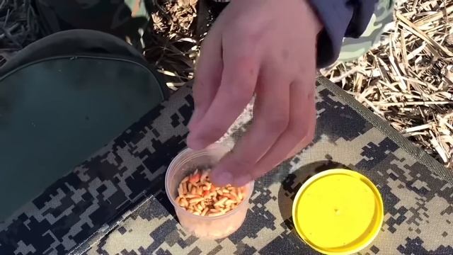 КАРАСЯ КИШИТ !!! Клюет на все… Карась на поплавок смотреть онлайн