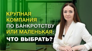 Крупная или маленькая юридическая компания по банкротству: что выбрать?