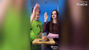 TikTok: Вэлл, Милс Кел, Пушистый Волк.
