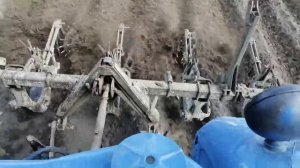 слепое окучивание картофеля часть 2