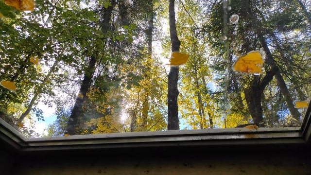 УШЕЛ ЖИТЬ в ЗЕМЛЯНКУ с РЫЖИМ ЗВЕРЕМ - УТЕПЛЯЮ ДОМ ПОД ЗЕМЛЕЙ | КАБАНЫ рядом | Жизнь в ТАЙГЕ - Лесны смотреть онлайн