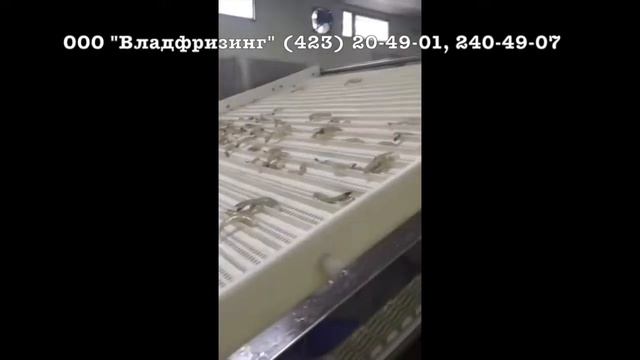 Сортировка креветки (ООО "Владфризинг") смотреть онлайн