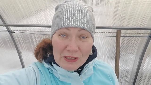 Выжила из ума - сею томаты и зелень в теплицу под зиму. Готовлю почву в грядках к подзимним посевам