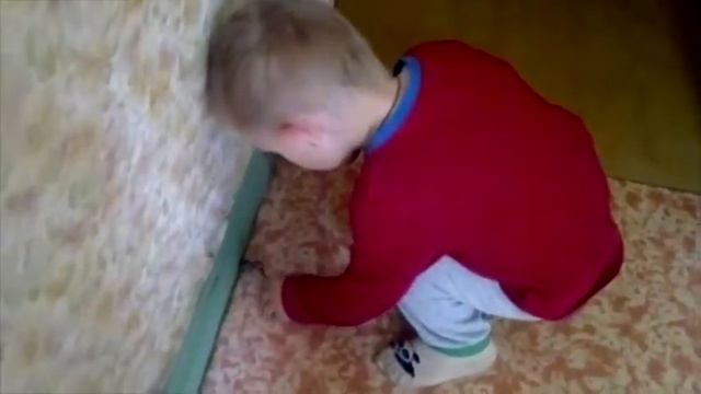 Знакомство с животными  Стрекоза
