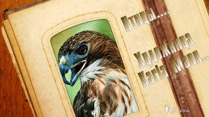 Птицы  *   Художница Karla Mann  * Музыка Елены Анненковой