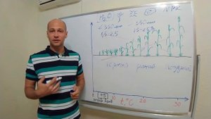 Кому нужен чистый пар в севообороте и какая должна быть обработка почвы?