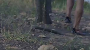 Вакуумный термос из нержавеющей стали