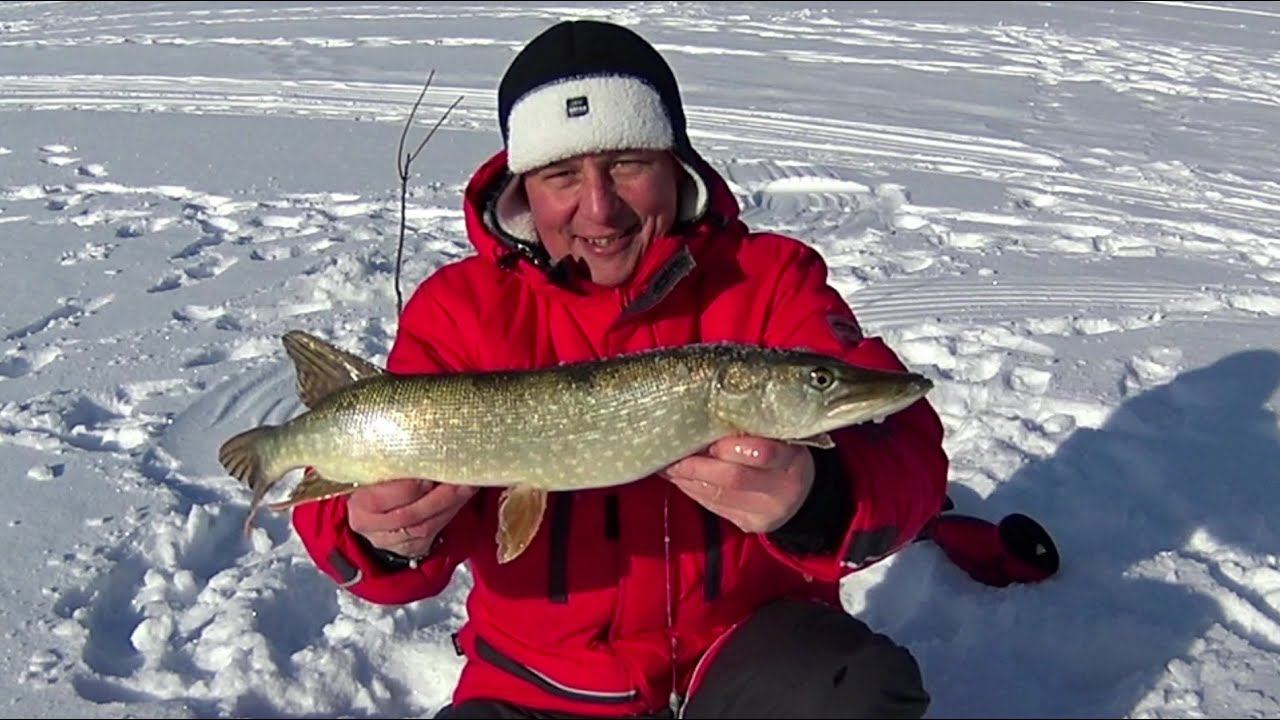 ЗИМНЯЯ РЫБАЛКА НА ЩУКУ НА ЖЁРЛИЦЫ. НАКОНЕЦ-ТО ЧЕПЦА ПОРАДОВАЛА РЫБОЙ))СОРОГА НА МОРМЫШКУ.МОРОЗ - 28 смотреть онлайн