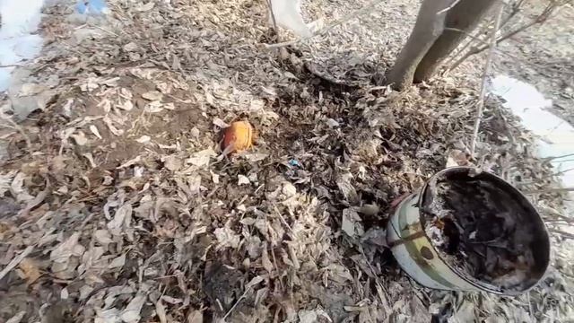 открытие сезона металлокопа 2022.соскучился.какой же результат? смотреть онлайн