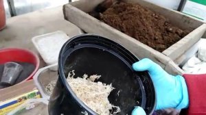 Подготовка грунта для пеларгоний