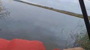 Рыбалка на спиннинг осенью