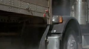 Чёрный пес 3