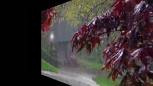 Eternal Tears Of Sorrow - Tears of autumn rain{lyrics}