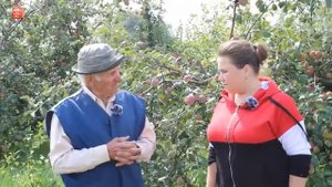 Сад на карликовых подвоях