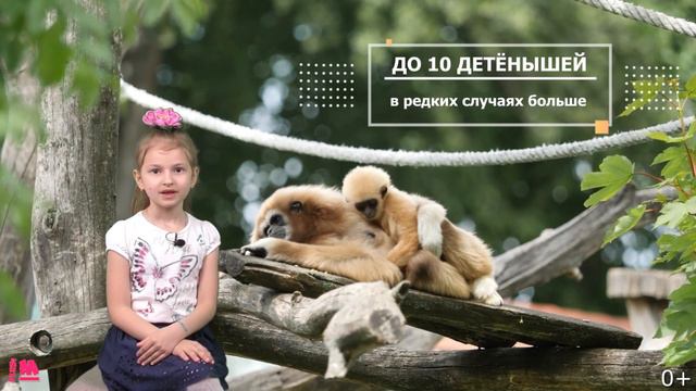 Живой мир 2. Растения и животные 0+