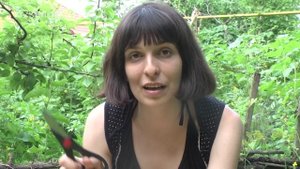 Защита деревьев медной проволокой