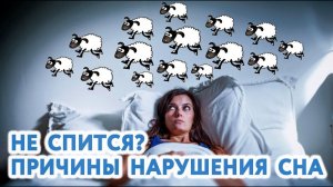 Не спится? Причины нарушения сна. Фрагмент Холо-встречи