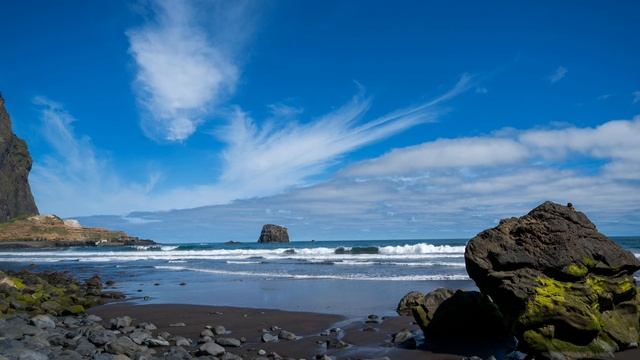 Gomer Edwin Evans. The World of Nature смотреть онлайн