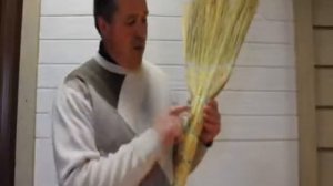 Краткий обзор веников сорго в России