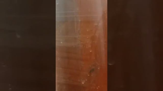 Роспан жгёт газ без спроса, человека ! смотреть онлайн