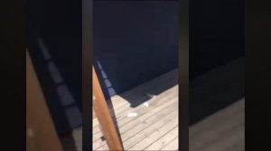 Смешные моменты со стройки