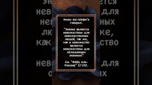 Знание является невежеством для невежественных людей... Имам аш-Шафи’и