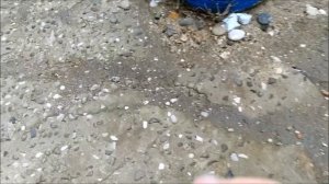 Поиск монет без металлоискателя 35