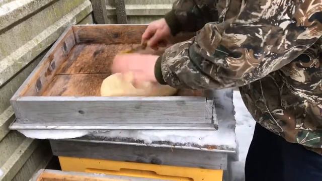 Подкормка пчёл зимой смотреть онлайн