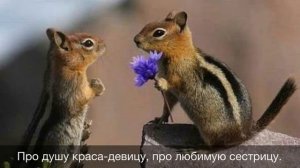 Ой калина, ой малина(русская народная песня)