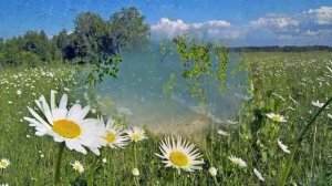 Гульшат Арсланова   Юлын тошсен