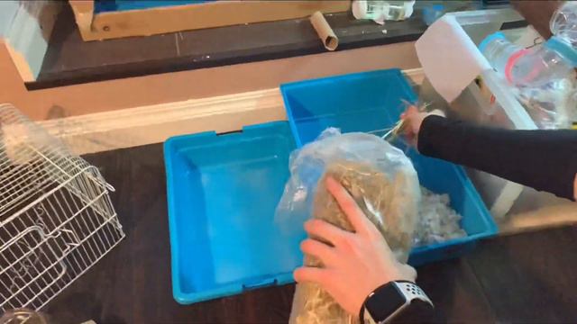 Уборка двух клеток. Сложно ли это? смотреть онлайн