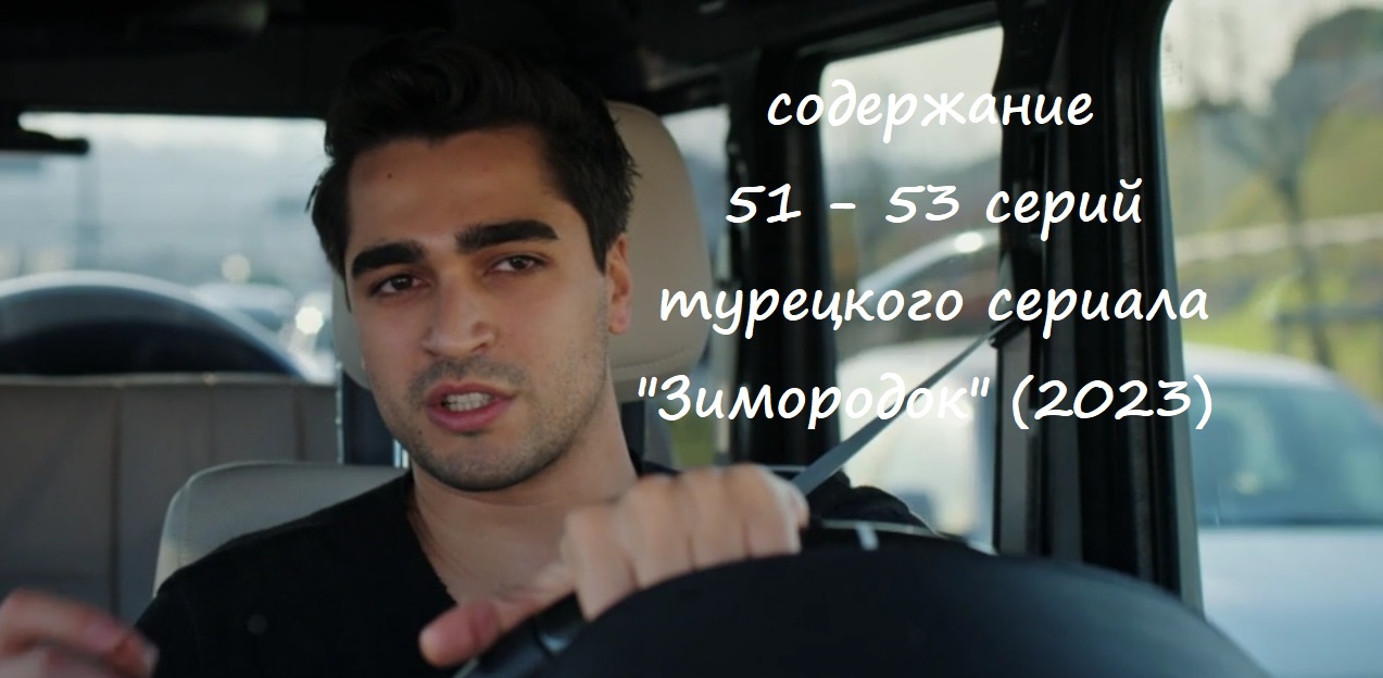 Содержание 51, 52 и 53 серии турецкого сериала "Зимородок" (РФ, 2023)