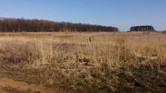 Весенняя рыбалка на поплавок