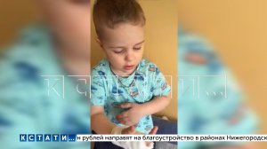 Собака пробралась в детский сад и набросилась на 3-летнего ребенка. Мальчик в больнице.