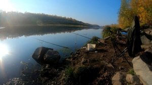 Осенний фидер 2020. Разловились на фидер! Щука на живца!