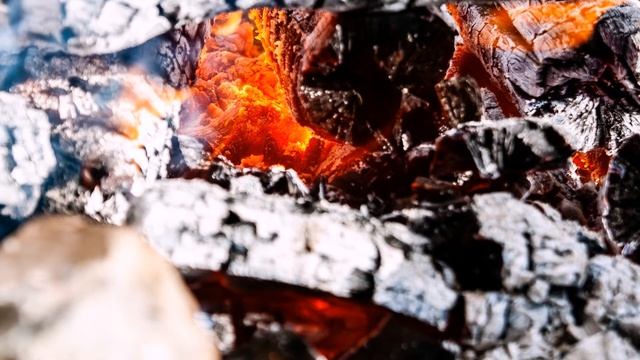 Теперь вы не лишитесь урожая, зная чем и как подкормить растения