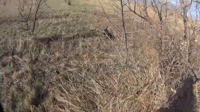 Охота на зайца с Сайги 12.#СтепнаяТропа смотреть онлайн