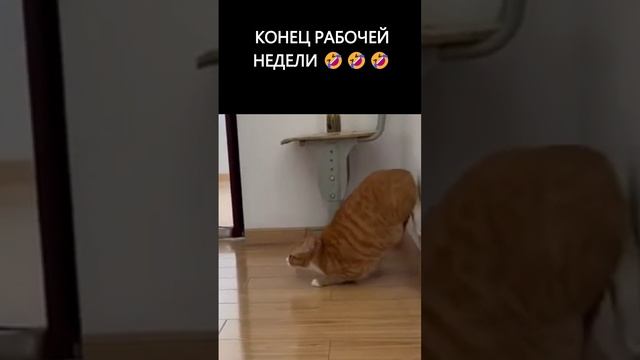 Конец рабочей недели