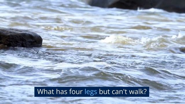 Fun Riddles for Kids смотреть онлайн