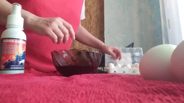 Обработка инкубационных яиц. Монклавит-1 смотреть онлайн